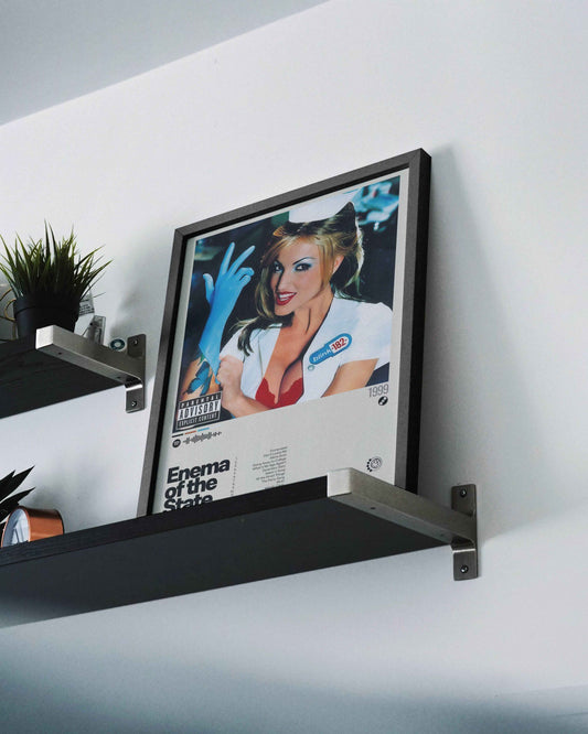 Quadro: Enema of the State (1999) by blink-182