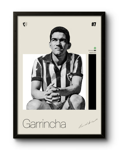 Quadro: Garrincha (BFR)