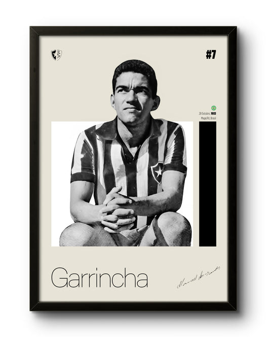 Quadro: Garrincha (BFR)